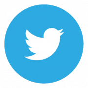 Logo Twitter